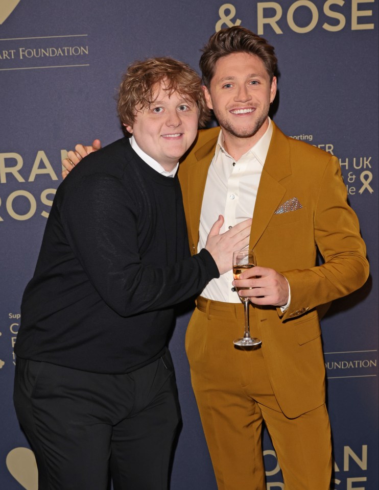 Niall Horan enjoyed a low-key birthday bash – ringing in his 31st alongside Lewis Capaldi