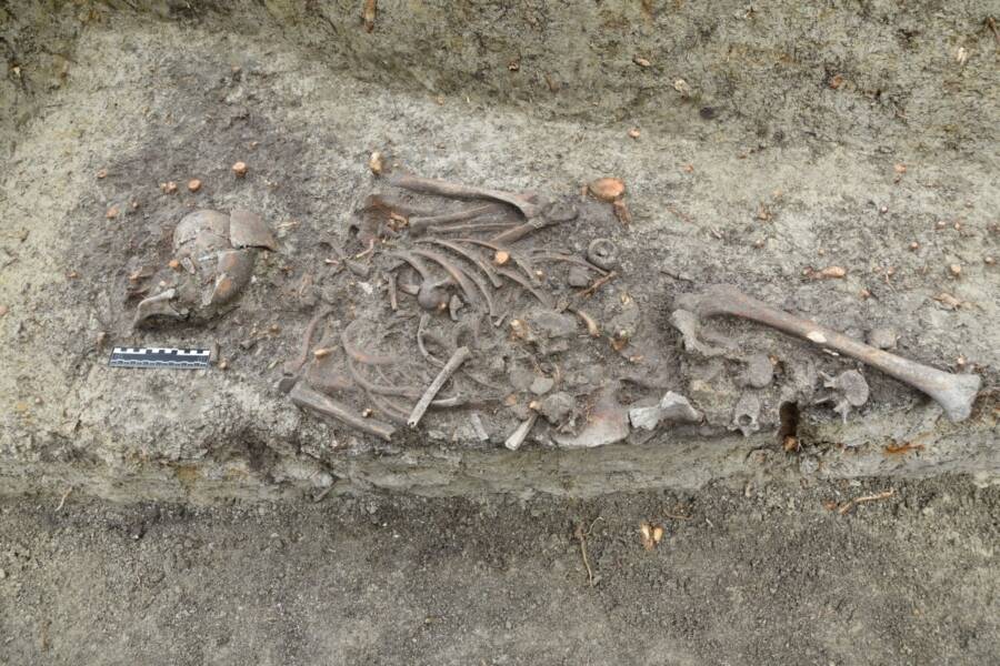 The skeletons were unearthed in Poland