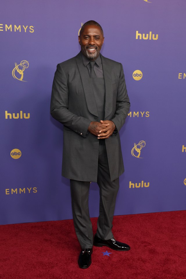 Idris Elba dresses to impress on the red carpet