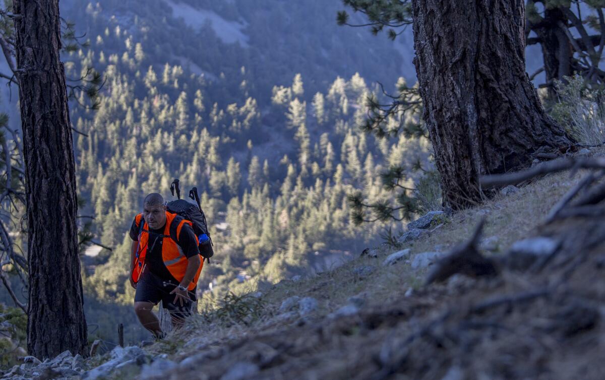 A hiker in a bright orange vest among pine trees on a steep trail