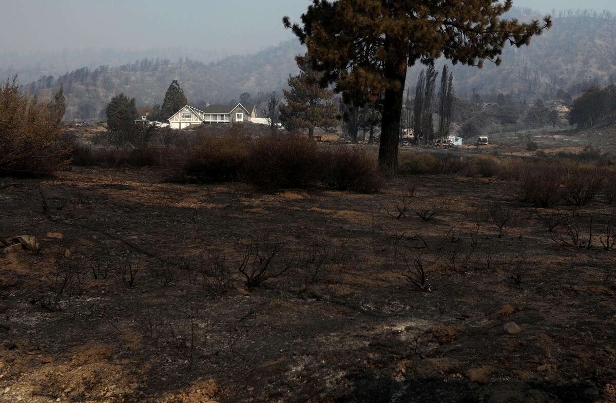 A charred landscape surrounds a home that survived the Bridge fire in Wrightwood. 