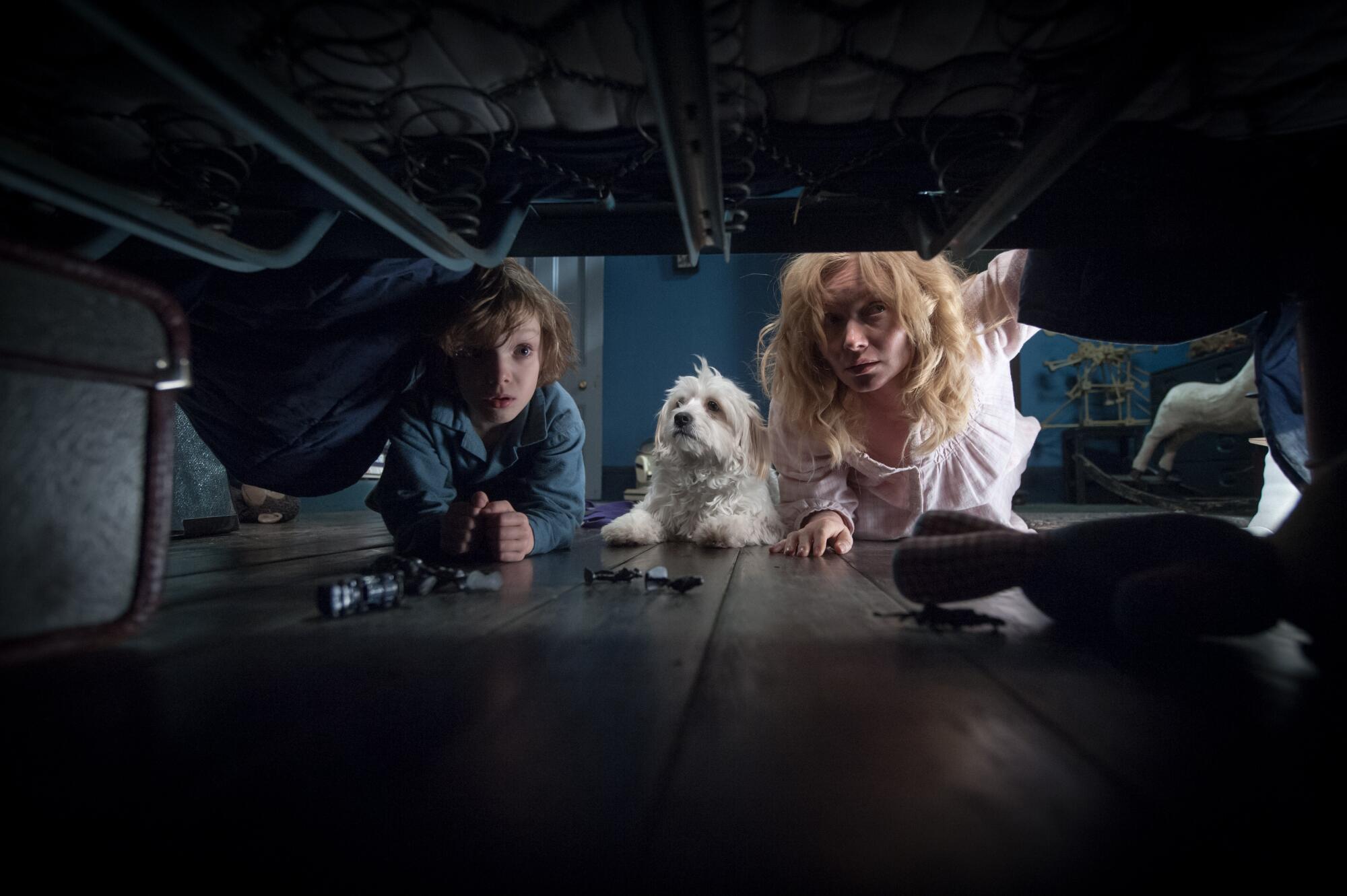 A mother, son and dog look under a bed.