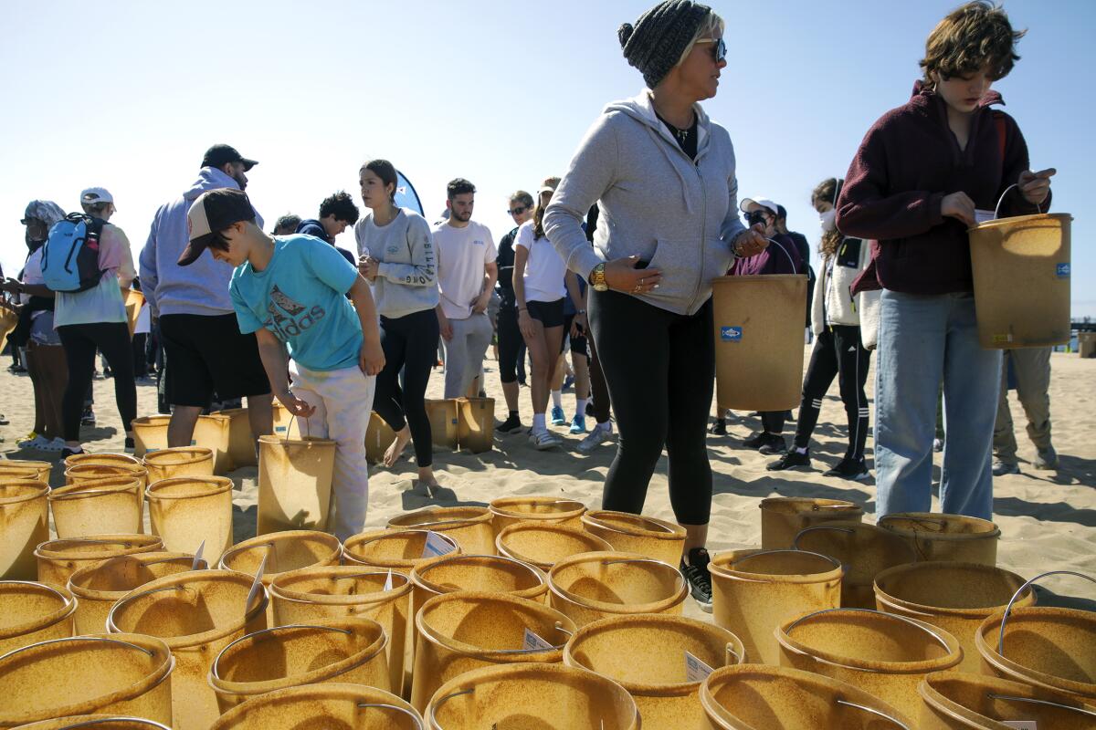 People collect buckets for a beach cleanup.