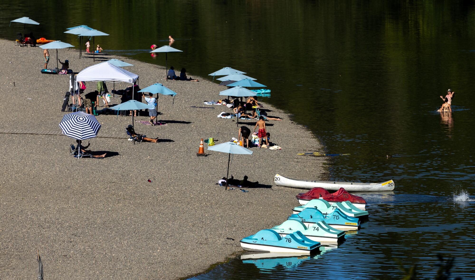 The Russian River curves along a beach where visitors recreate beneath umbrellas. 