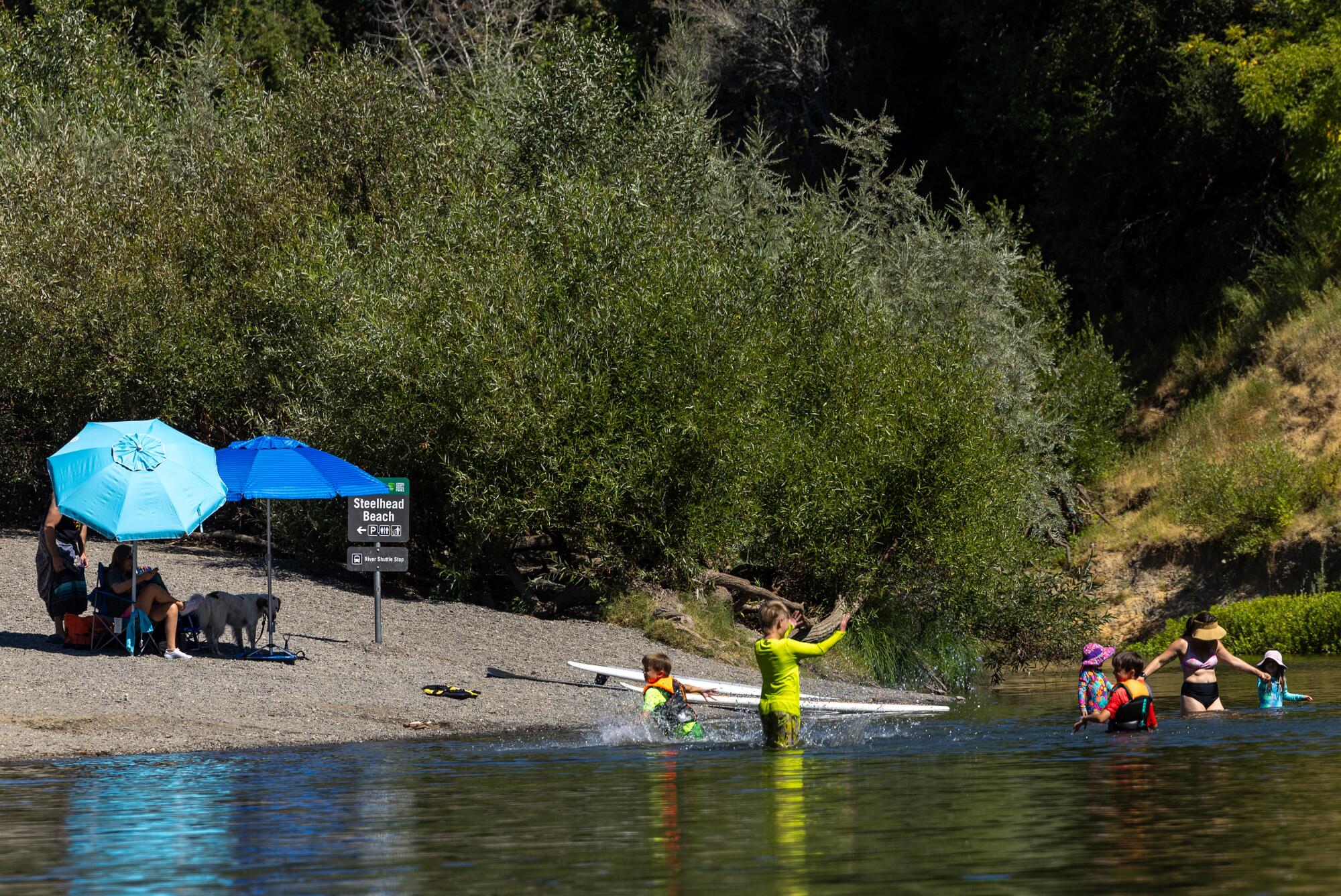 Beachgoers frolic in the Russian River in Forestville.