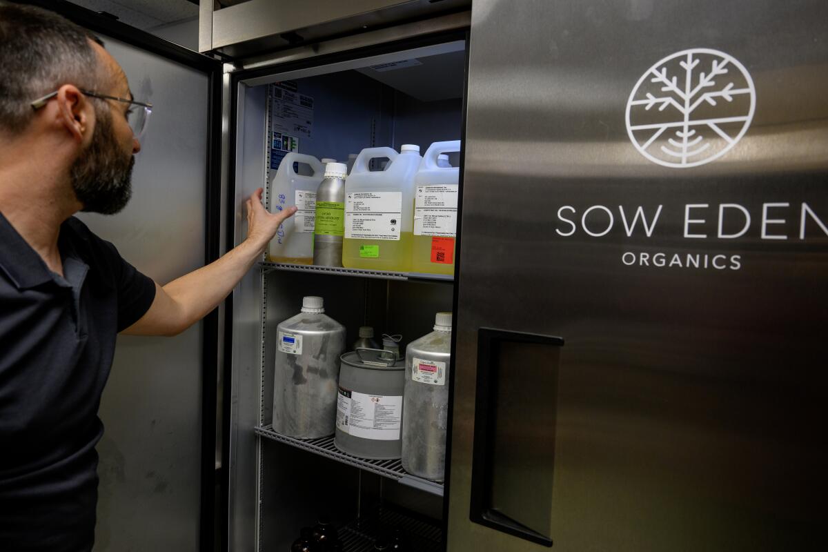 Jacob Dunn reaches into an industrial fridge filled with jugs and bottles