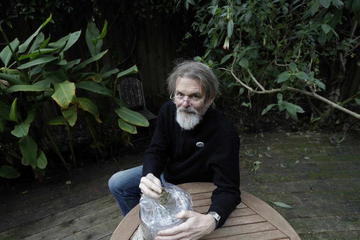 Dale Gieringer holds a cannabis bud while seated in a wooden patio