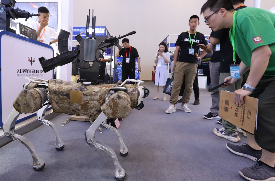 The dogs on display at an expo in Beijing in May