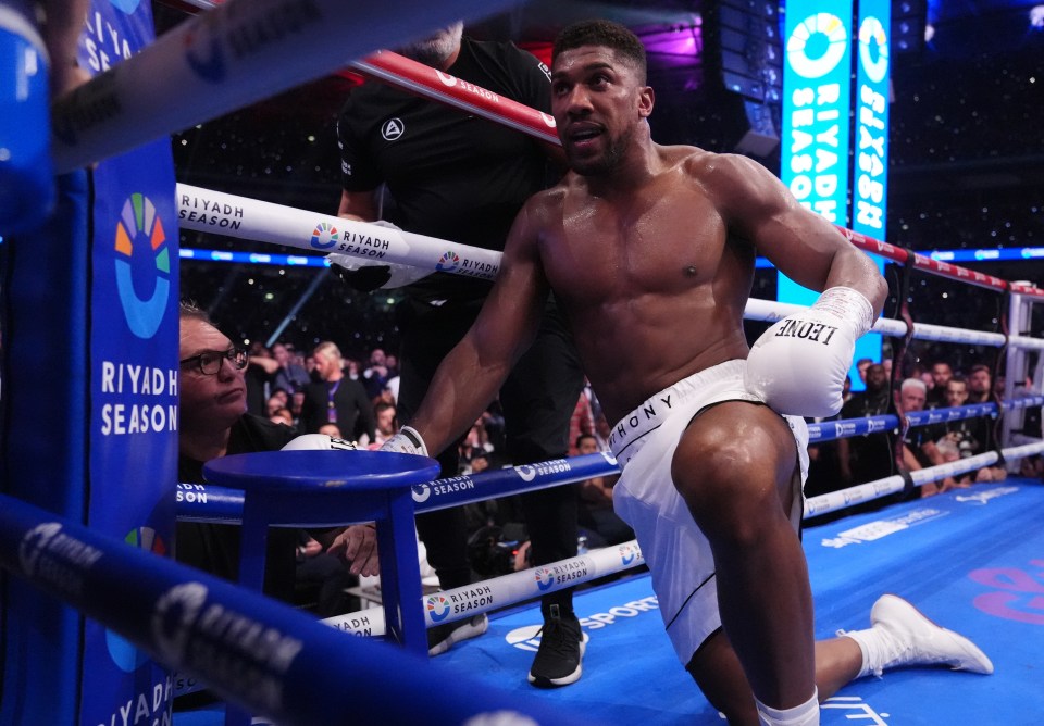 AJ was knocked down four times and Dubois finished him off in the fifth round