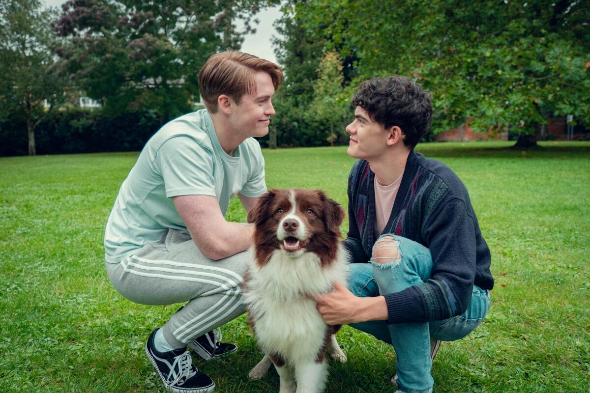 A young man in a blue shirt and joggers looks at a young man in a dark sweater who is holding a brown and white dog.