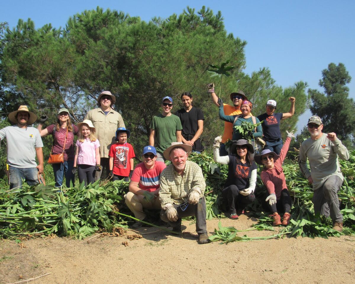 A group of folks stands on a dirt trail covered with freshly pulled weeds.