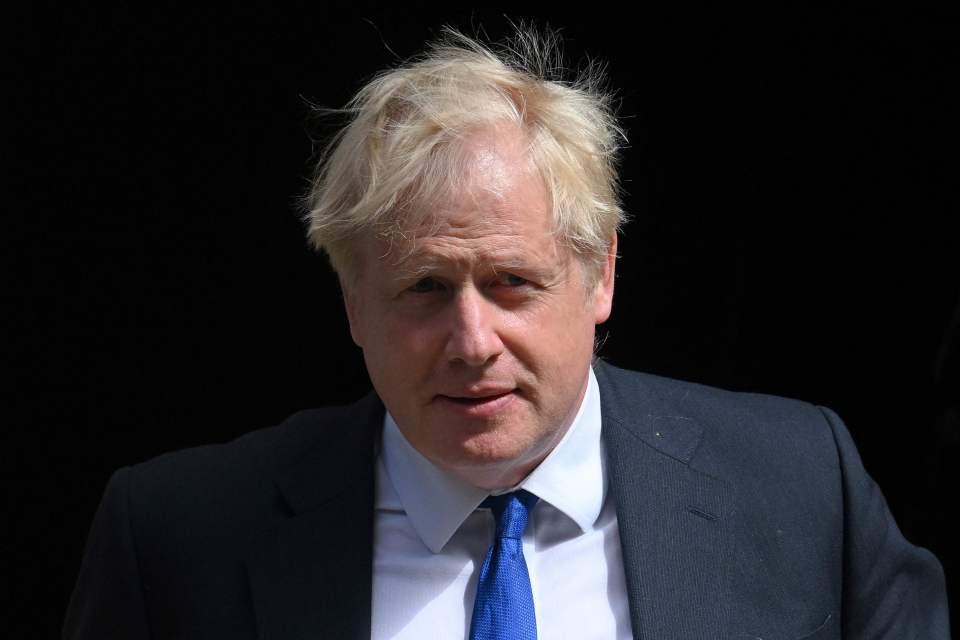 In his memoir, Unleashed, Boris says he urged Harry to not step back from royal duties