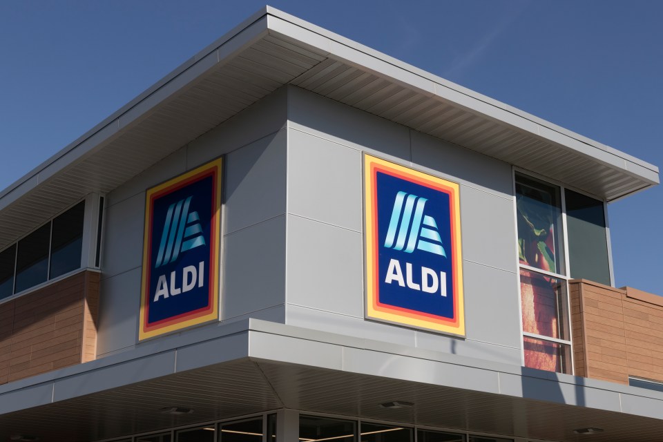 Aldi has launched new garden decoration that doesn't break the bank