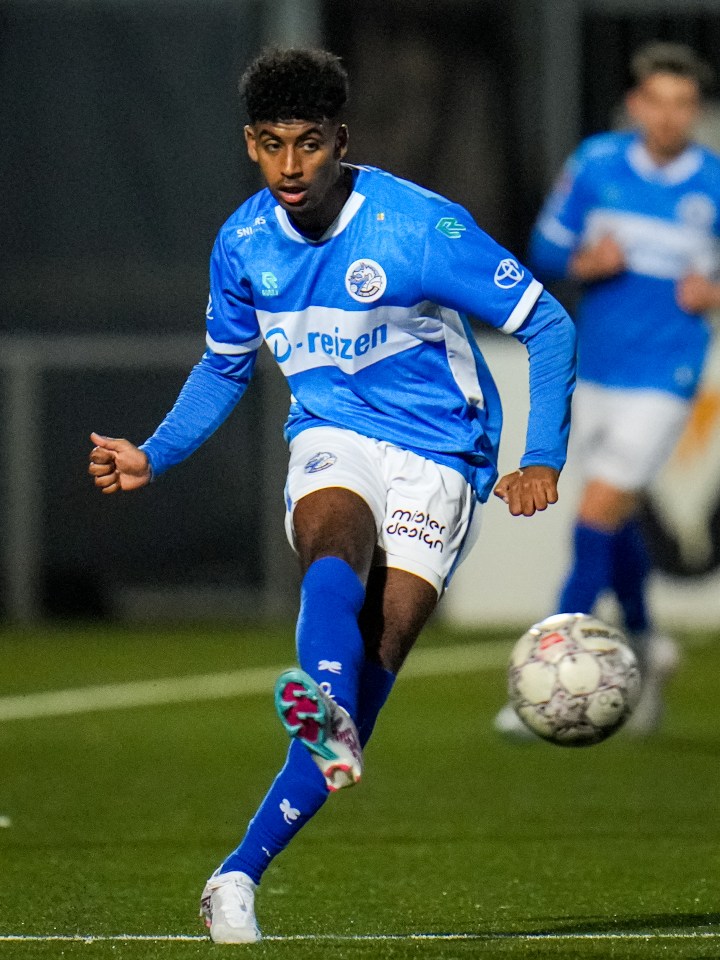 FC Den Bosch has released Gedion Zelalem