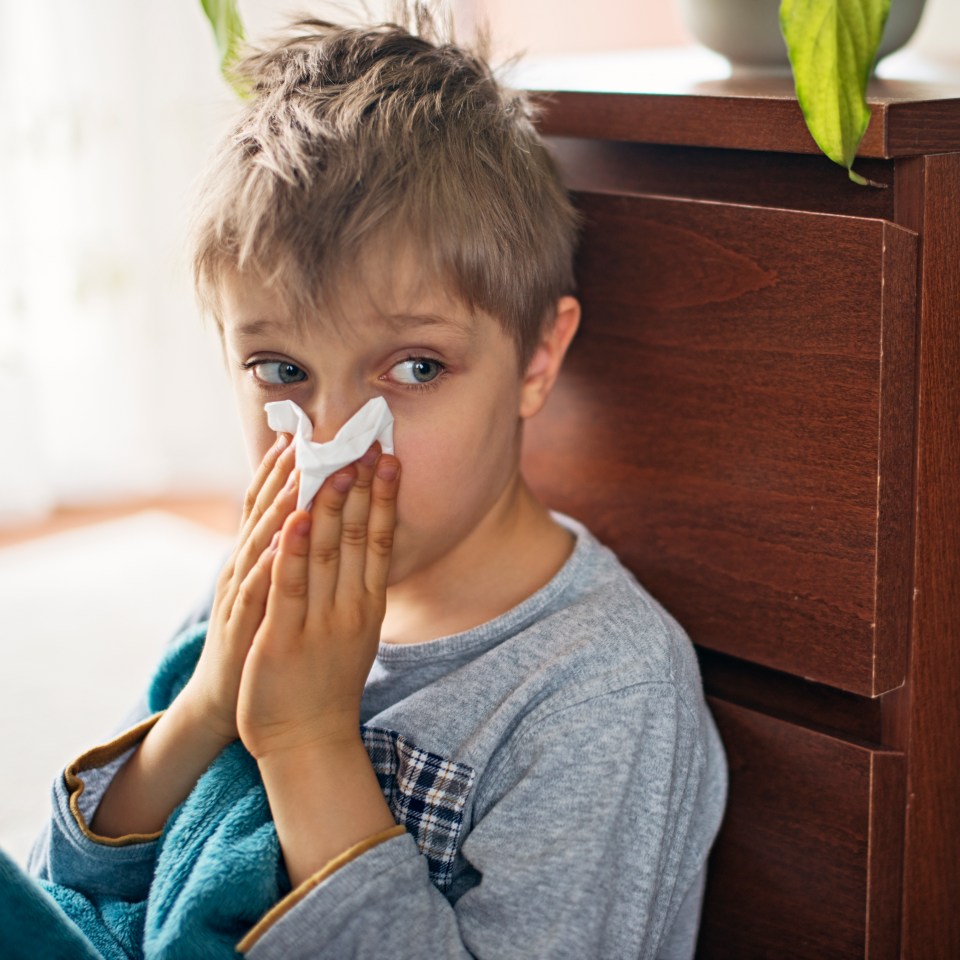 A Reddit user revealed how she avoids catching her children's colds (stock image)