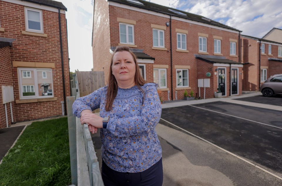 Kathryn Hewitt, 51, is in dispute with her neighbour over an 'outrageous' fence