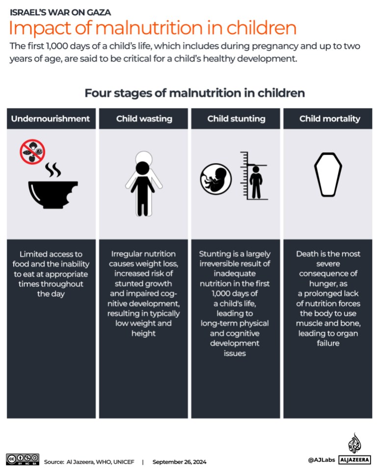 Interactive_Gaza_Stunting and Wasting