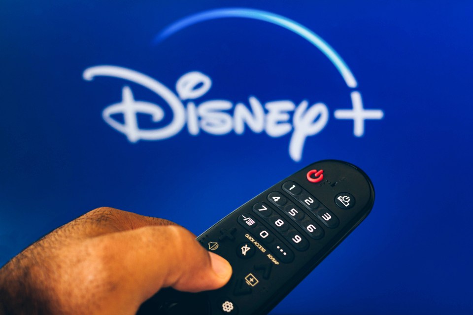 Disney+ has followed in the footsteps of streaming giant Netflix and begun charging for password sharing