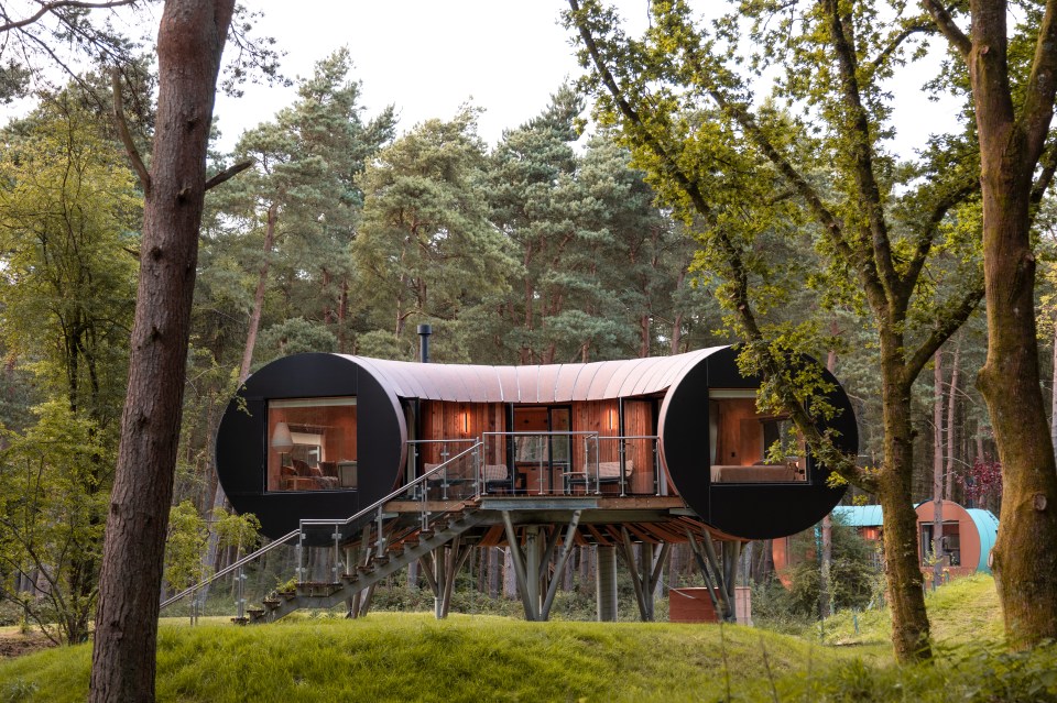 Stay in a treehouse this Autumn, pictured TreeDwellers in the Cotswolds