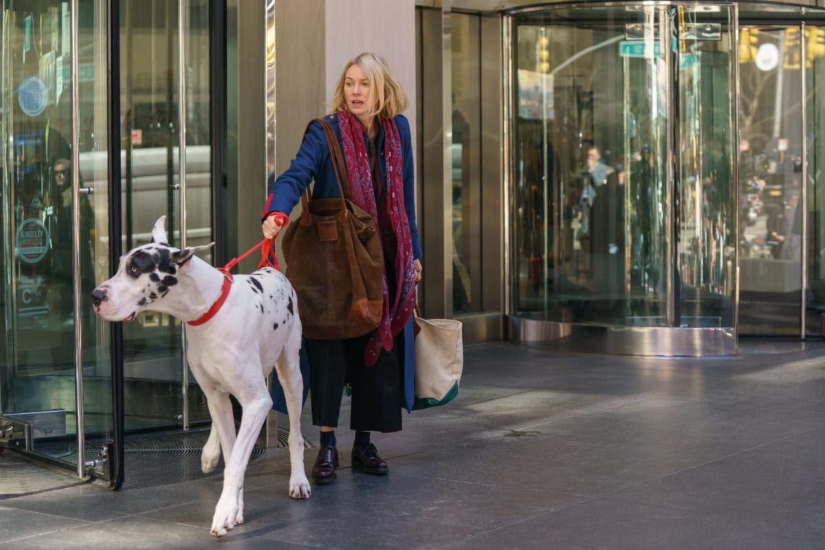 A woman exiting a New York building holds onto the leash of a Great Dane.