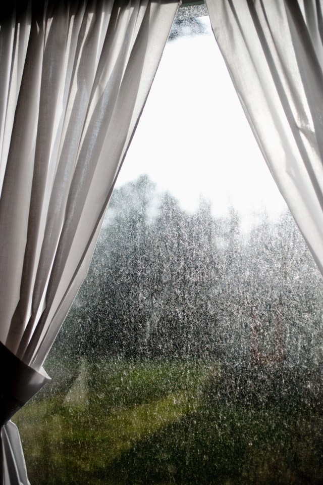 You should get rid of your net curtains if you want to keep condensation at bay