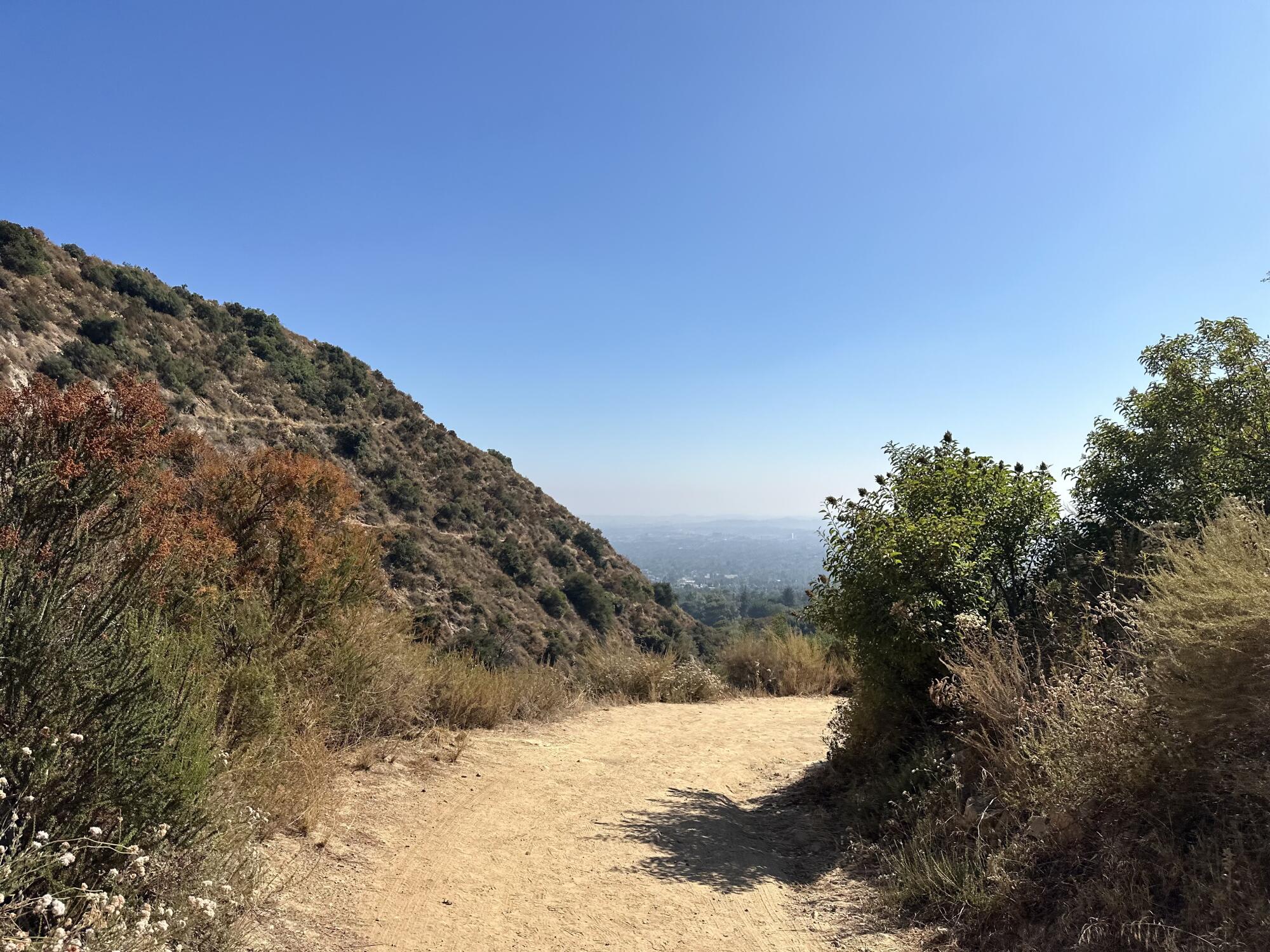 A dirt trail on the Cobb Estate leading to the Enchanted Forest.