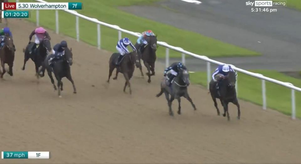 Thompson thought the horse in third, with the blue star on the white cap, was actually the leader... and only realised he had got the horses mixed up at the last second