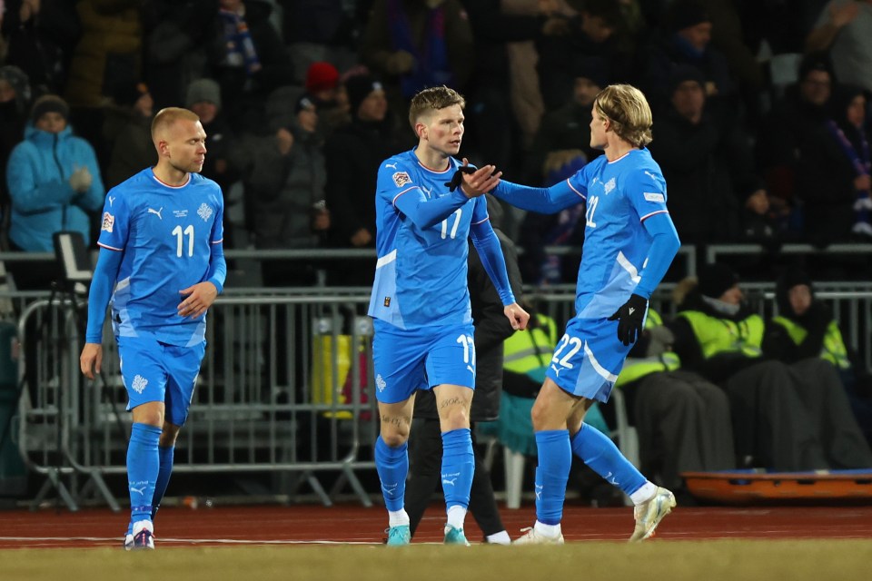 Logi Tomasson celebrates sparking Iceland's second-half comeback win