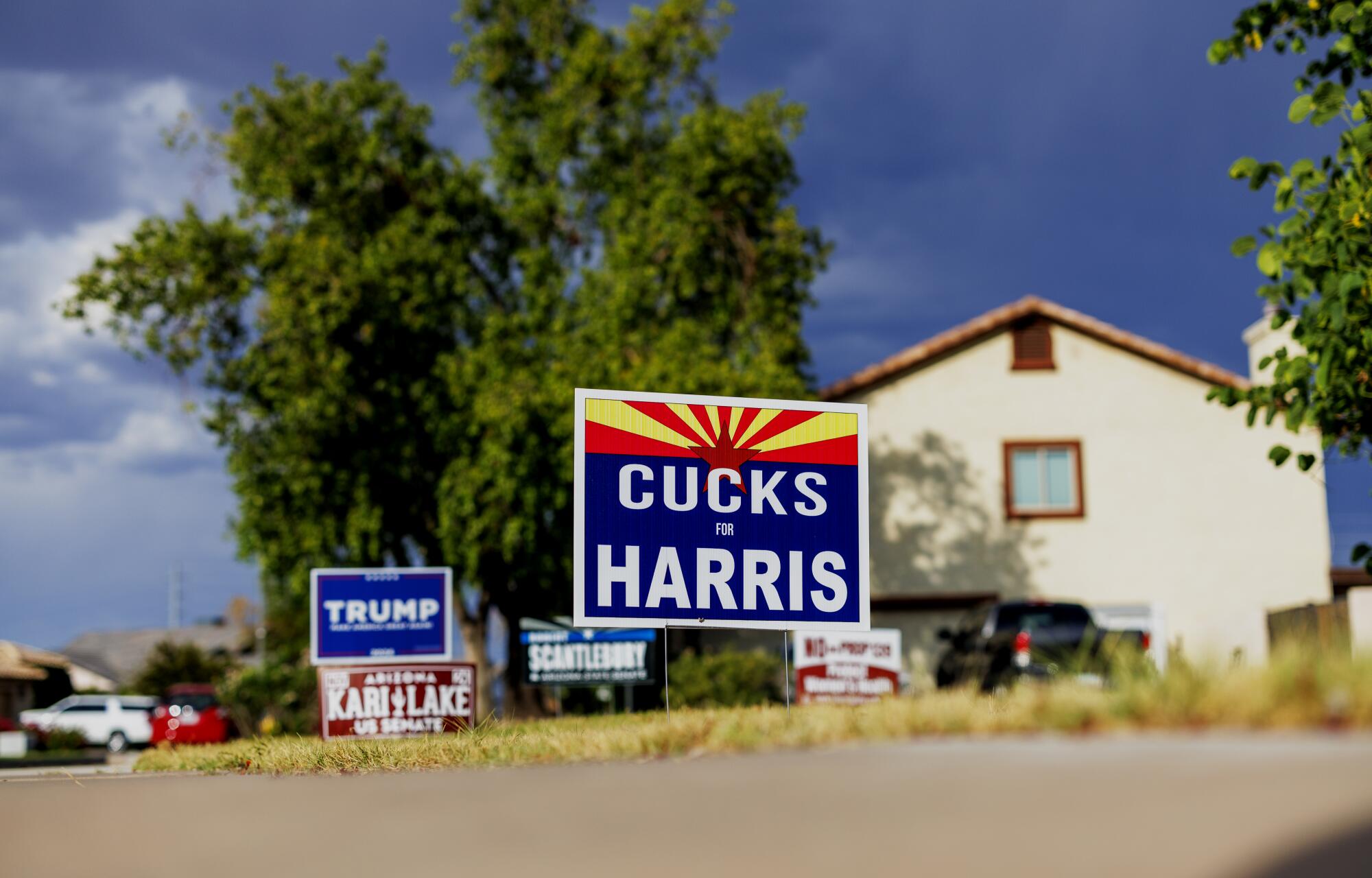 Several campaign signs dot a frontyard in Mesa, Ariz.