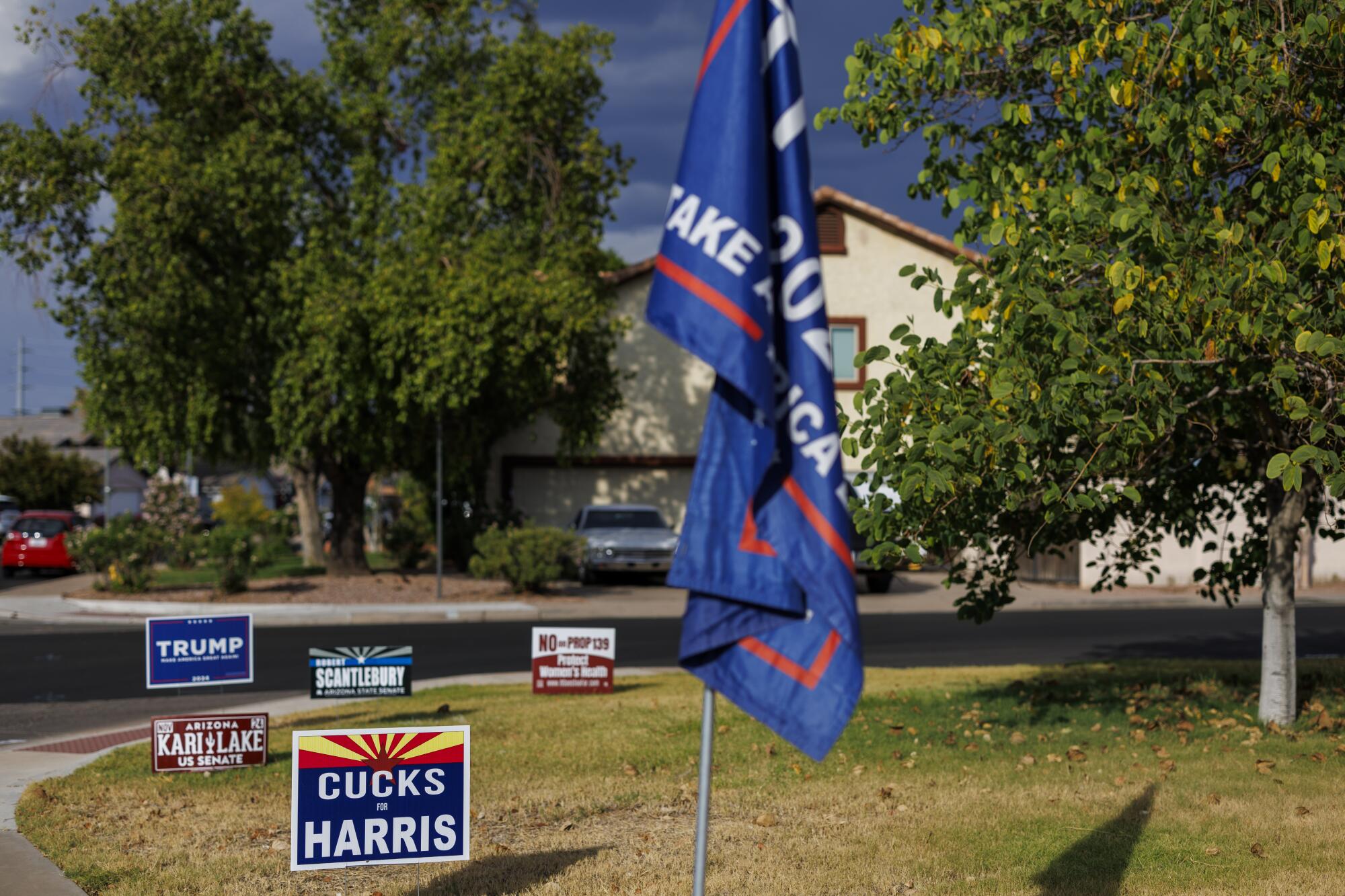 Several campaign signs and a flag on a frontyard.