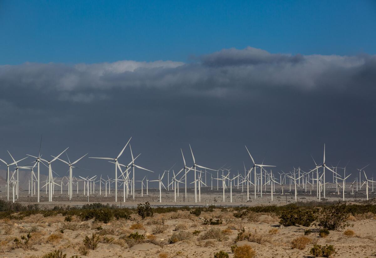 An array of wind turbines.