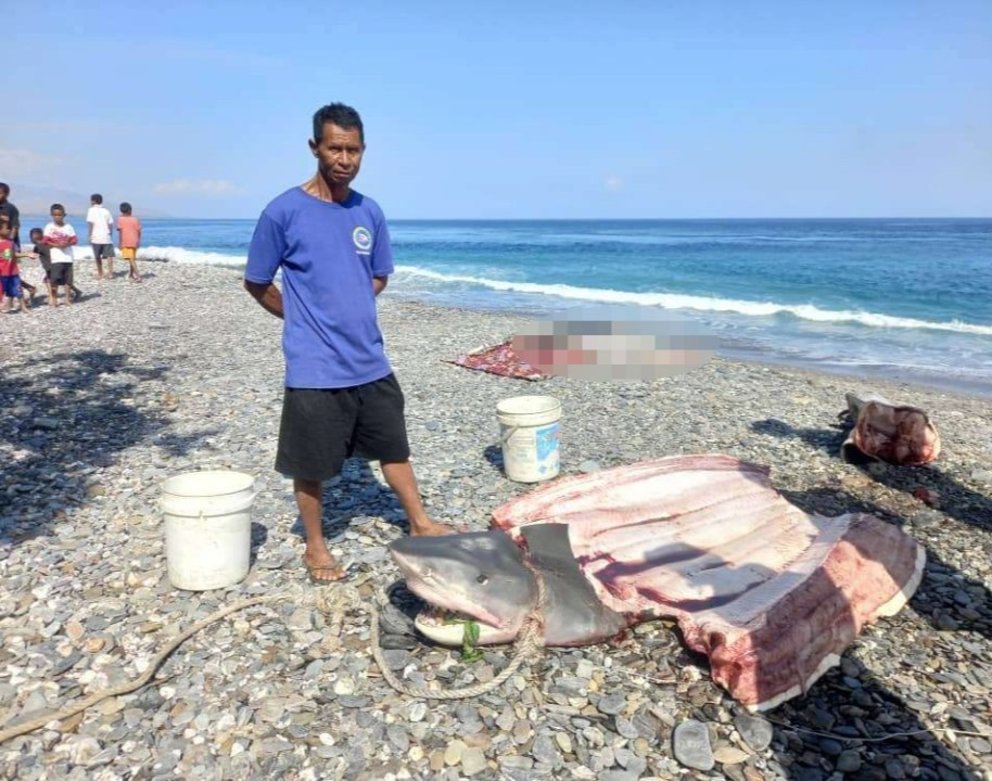 The woman's body was found by a fisherman inside a shark