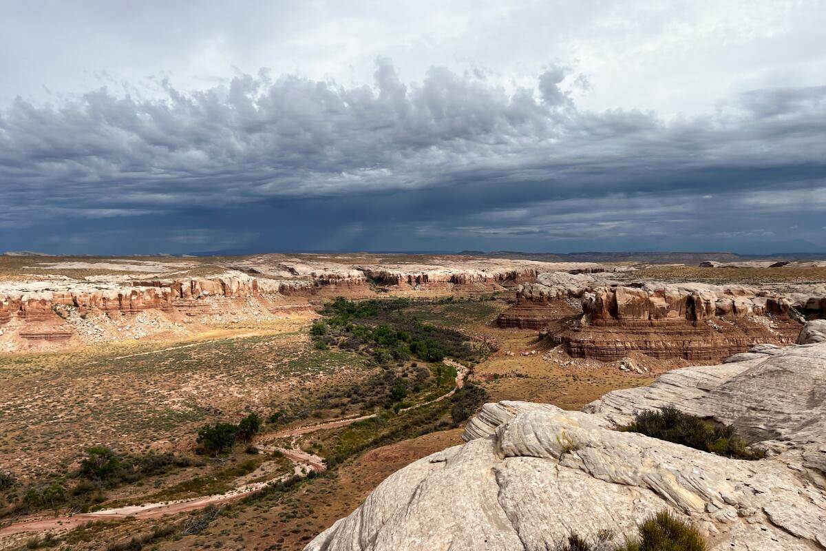 A view of Cottonwood Wash, located within Bears Ears National Monument in Utah.