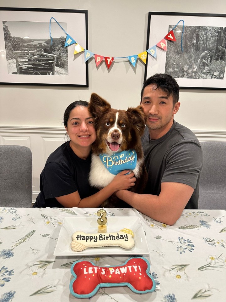 Dog Bruce who managed to escape the strike after his lead was burned, pictured with Thalita and husband Joel