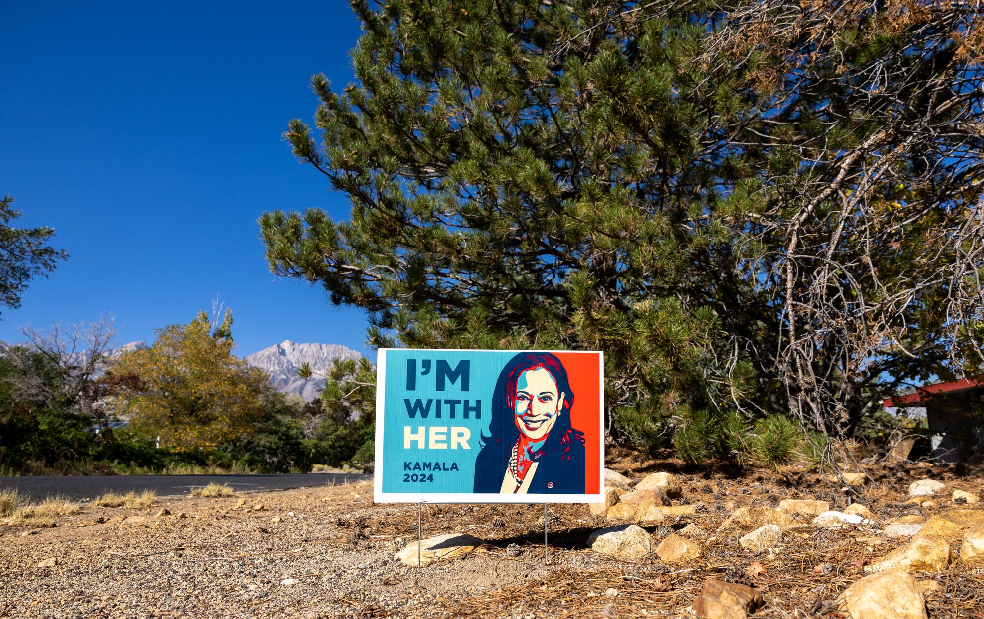 A sign supporting Vice President Kamala Harris in Bishop.