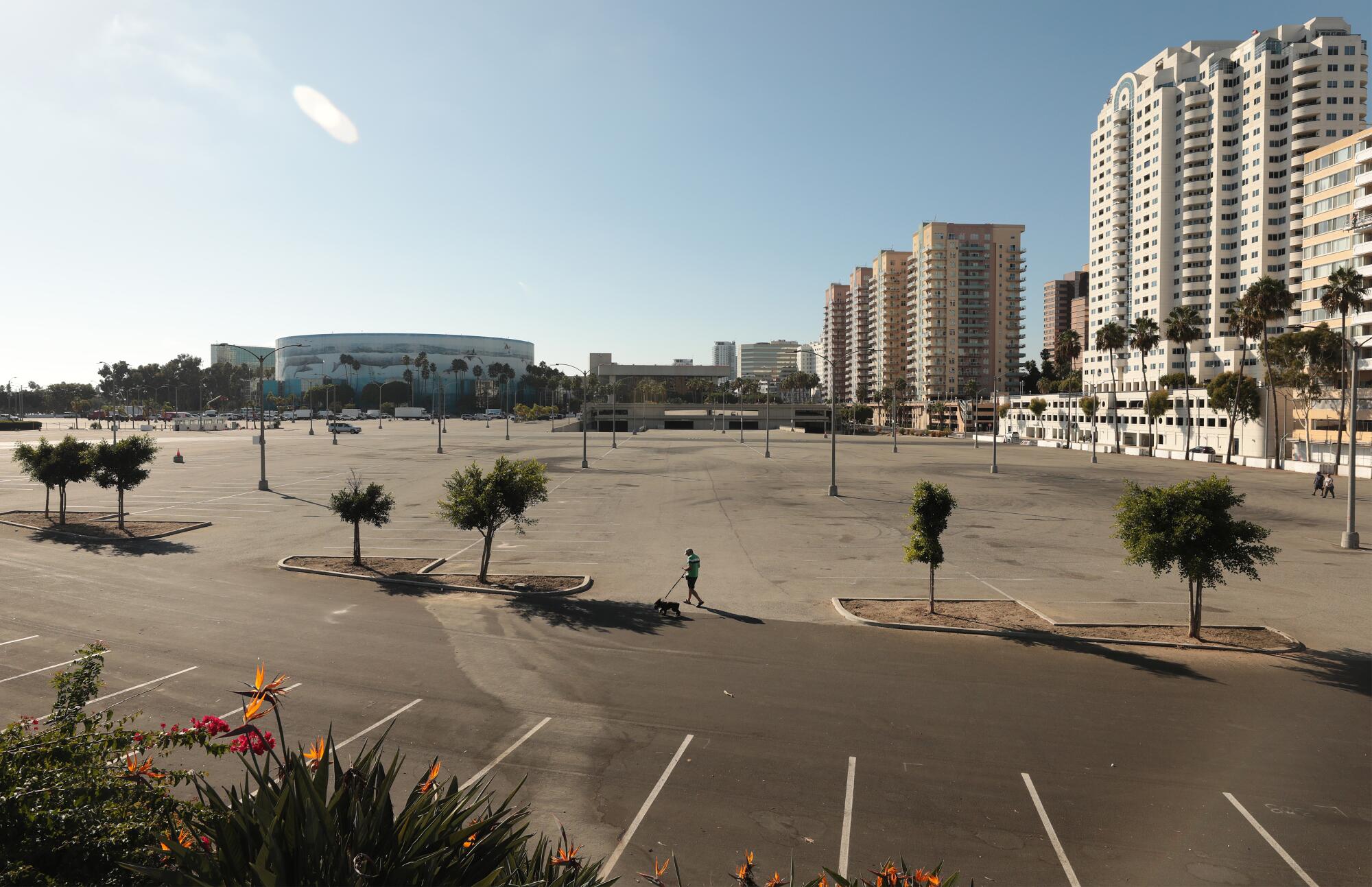 The parking lot of the Convention Center.