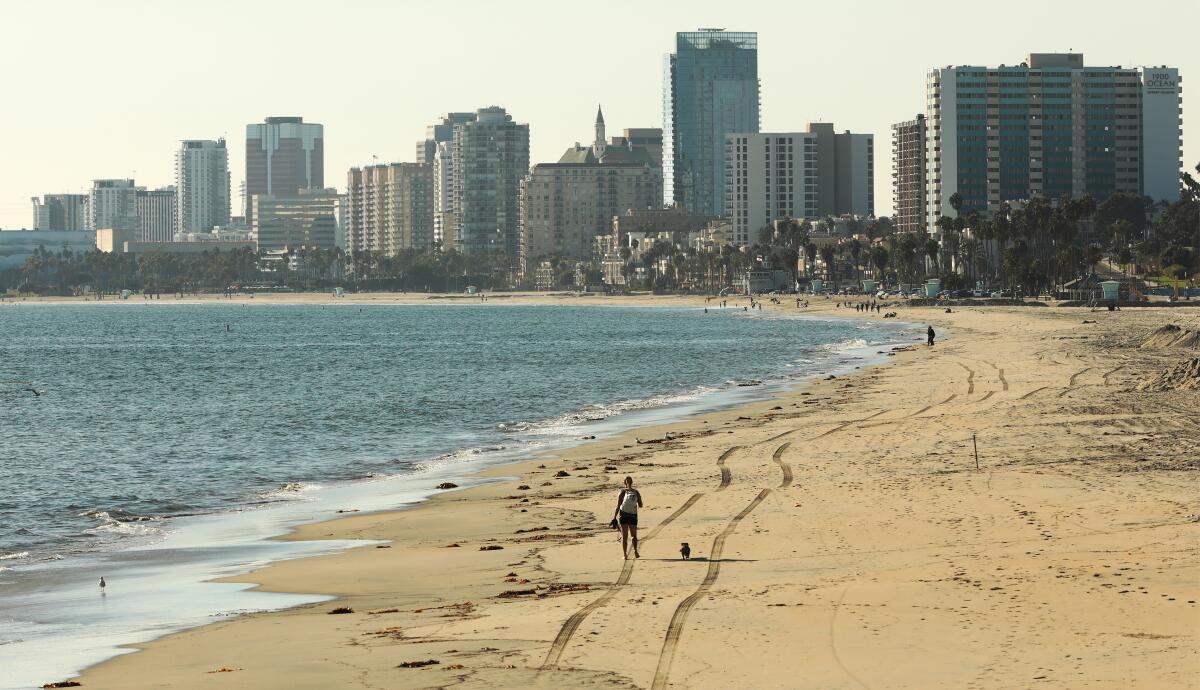 A person and dog walk along a sandy shoreline with the Long Beach skyline in the background.