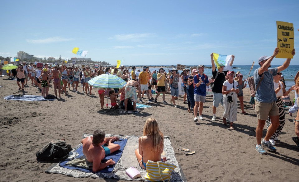 Tourists on the beach are swamped by demonstrators telling them to 'go home'