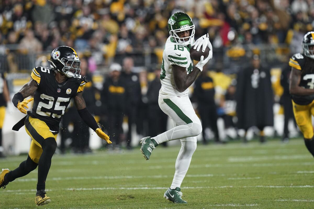 Jets wide receiver Mike Williams (18) pulls in a pass against Steelers safety DeShon Elliott (25).