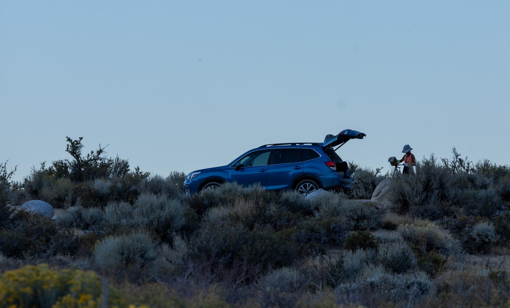 An artist draws the scenery in the Inyo National Forest.