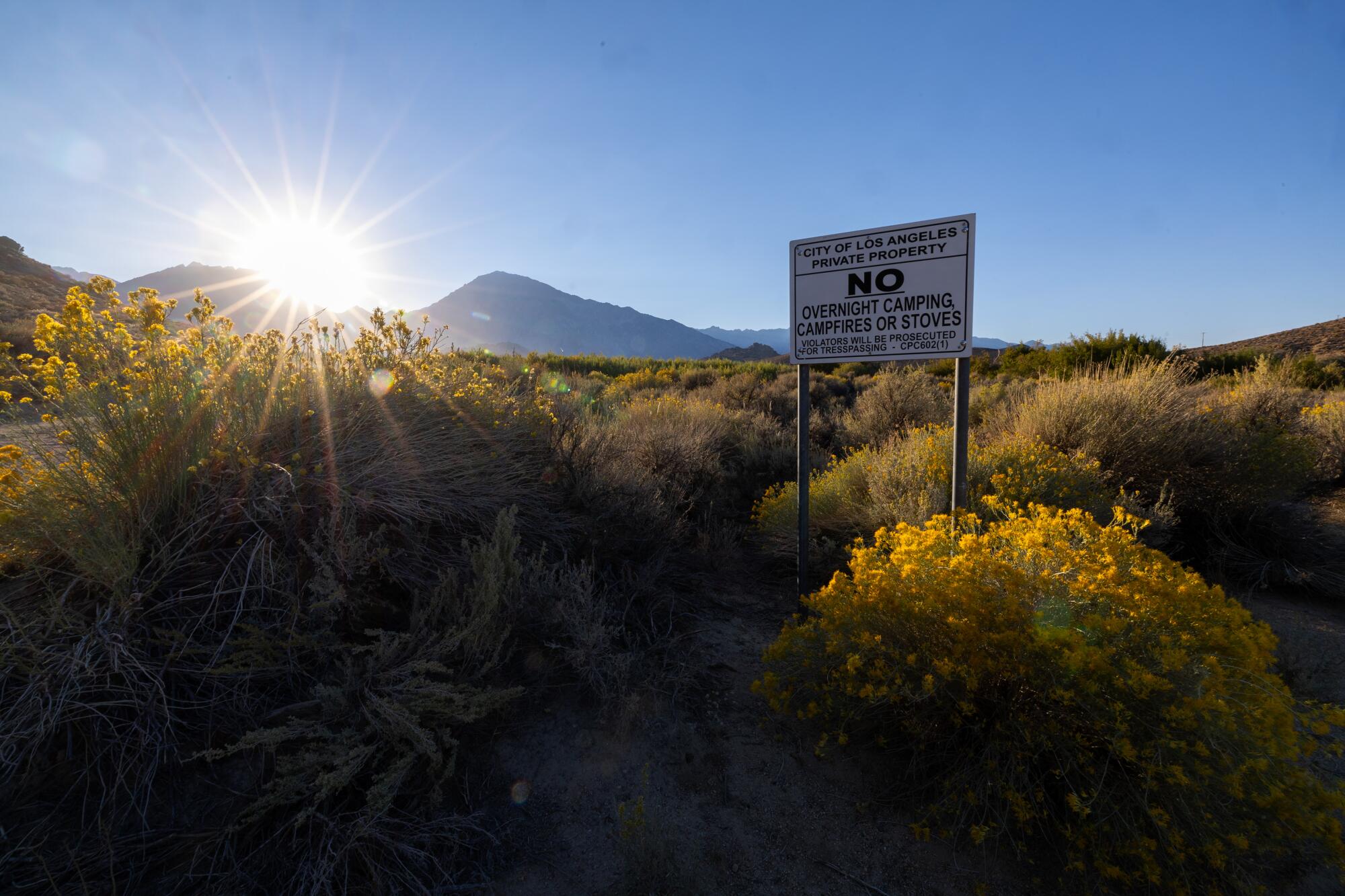 A private property sign in a brushy area.