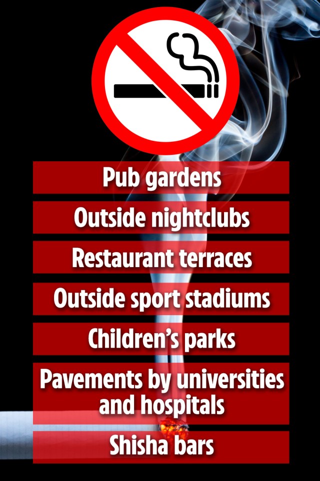 A list of the places where smoking were expected to be banned