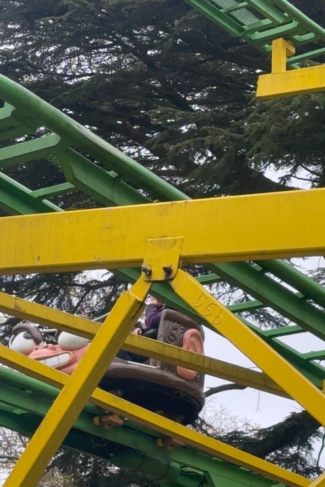 Two amusement-park goers were left stranded on the Monkey Mayhem ride for more than an hour