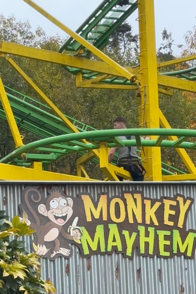 Park staff inspect the fallen beams on the tracks of the Monkey Mayhem ride at West Midlands Safari Park