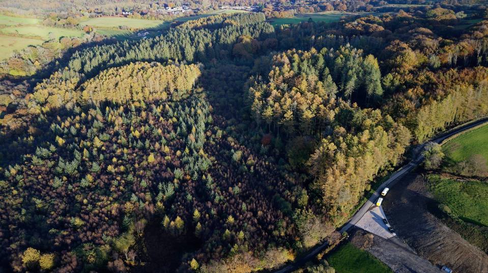 St Gwynno’s Forest by Graigwen Road is vast and rugged