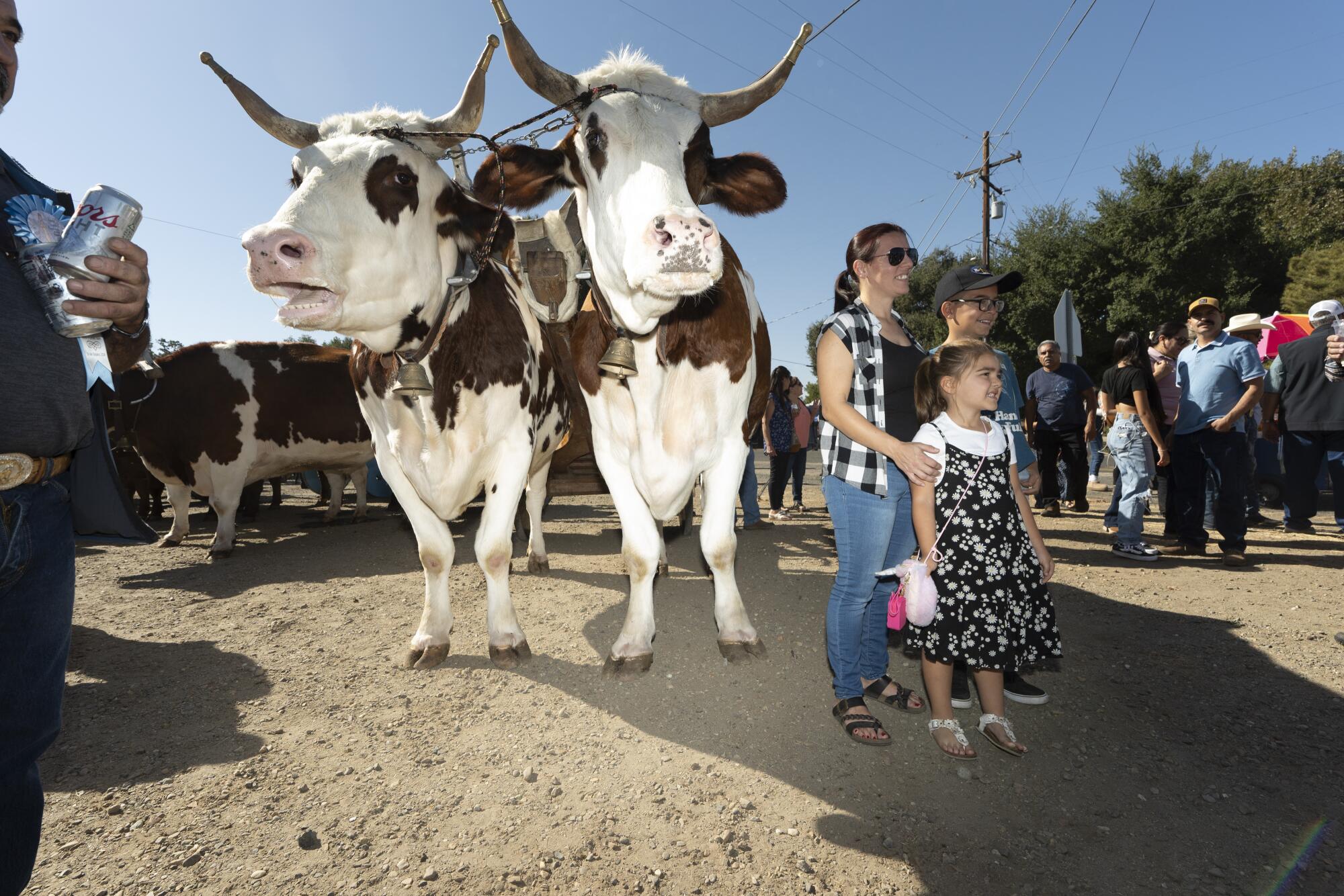 A woman and two children stand in front of a pair of brown and white cows with long horns