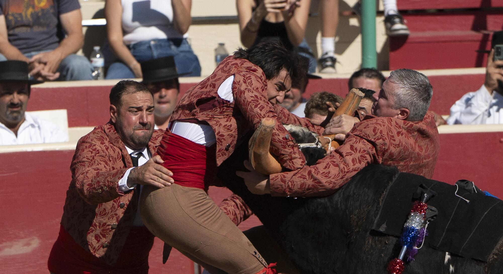 Several people in brown brocade jackets grab onto a black bull