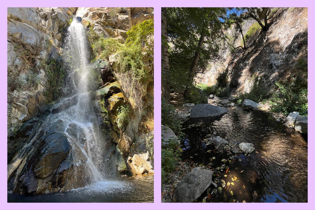 A rocky waterfall and a treelined stream.