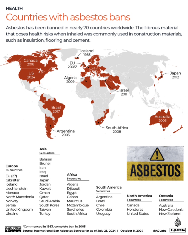 INTERACTIVE - Countries with asbestos bans-1728378207