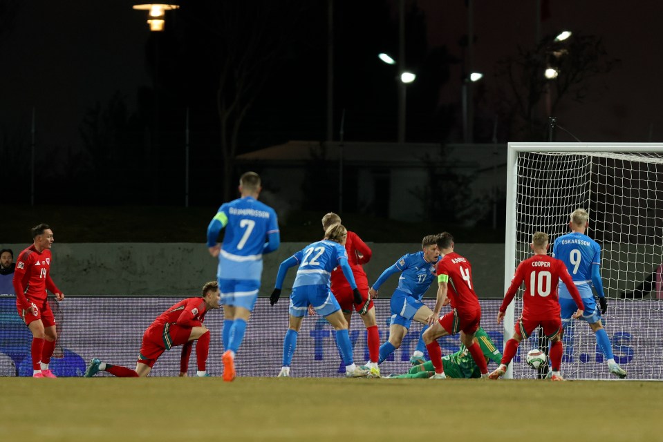 Wales keeper Danny Ward produced a late own-goal leveller for Iceland